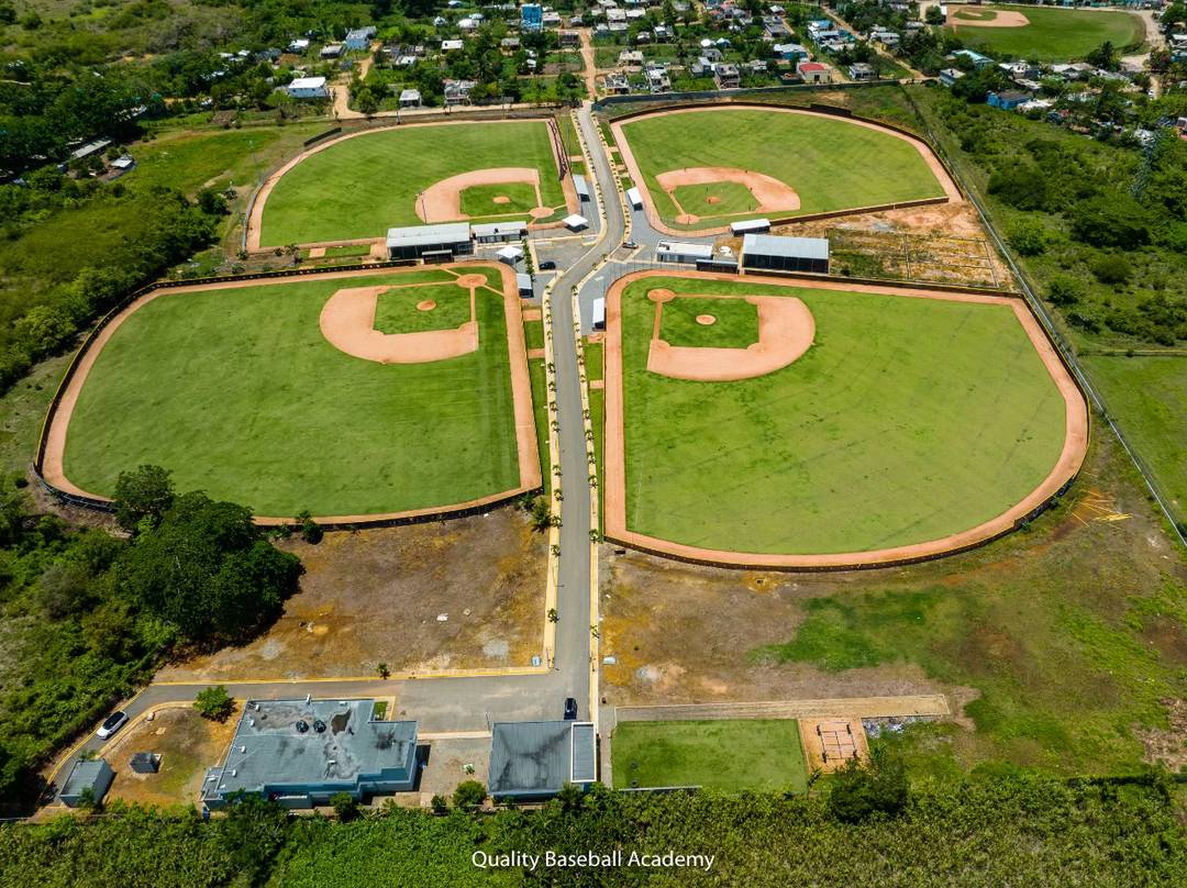 Exclusive Baseball Academy for Sale in Santo Domingo – Prime Investment Opportunity!